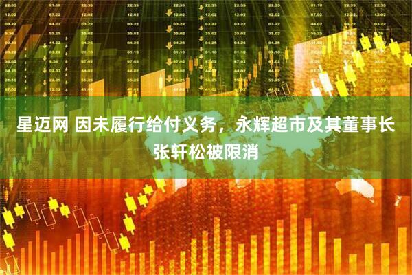 星迈网 因未履行给付义务，永辉超市及其董事长张轩松被限消