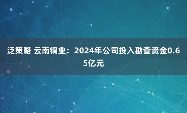 泛策略 云南铜业：2024年公司投入勘查资金0.65亿元