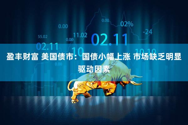 盈丰财富 美国债市：国债小幅上涨 市场缺乏明显驱动因素