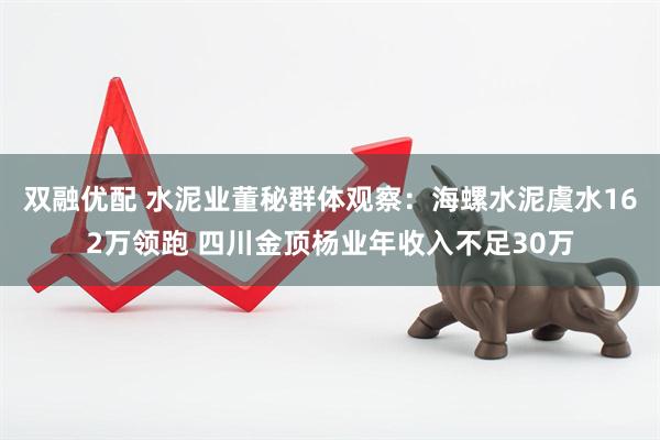 双融优配 水泥业董秘群体观察：海螺水泥虞水162万领跑 四川金顶杨业年收入不足30万