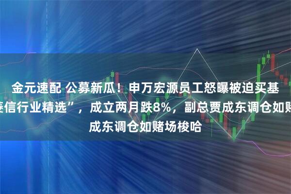 金元速配 公募新瓜！申万宏源员工怒曝被迫买基“申万菱信行业精选”，成立两月跌8%，副总贾成东调仓如赌场梭哈