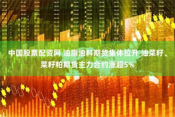 中国股票配资网 油脂油料期货集体拉升 油菜籽、菜籽粕期货主力合约涨超5%