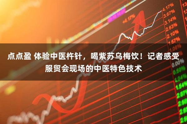 点点盈 体验中医杵针，喝紫苏乌梅饮！记者感受服贸会现场的中医特色技术