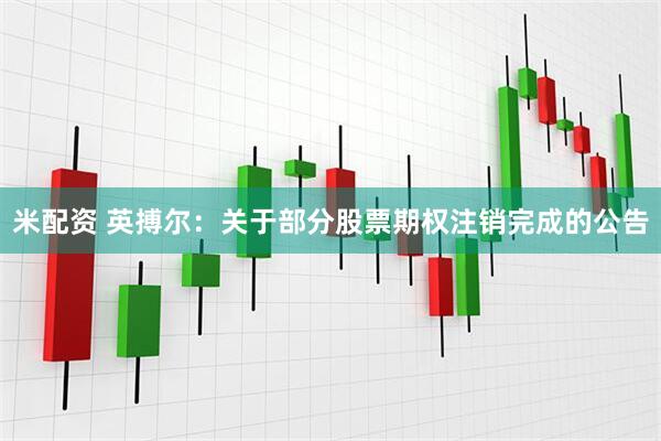 米配资 英搏尔:关于部分股票期权注销完成的公告